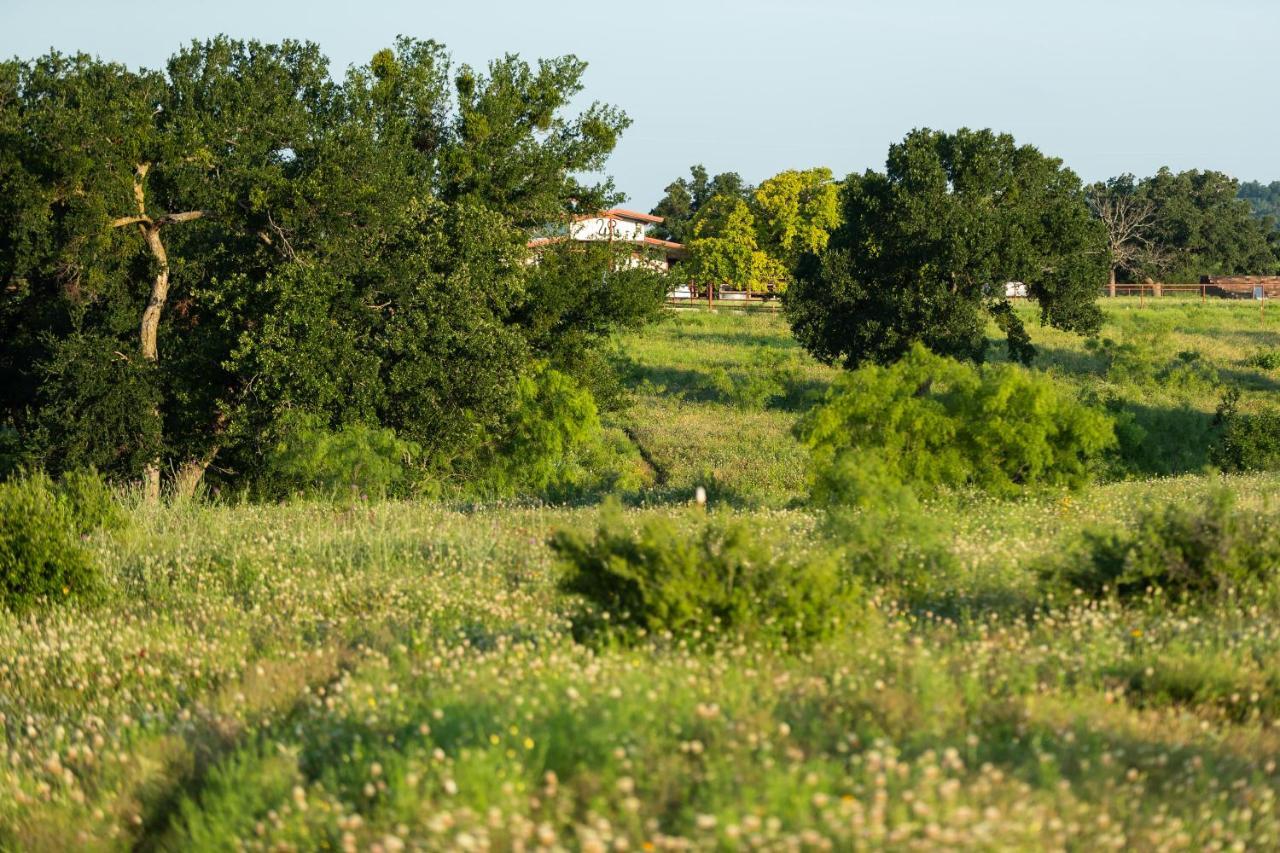 Wildcatter Ranch And Resort Graham Exterior photo